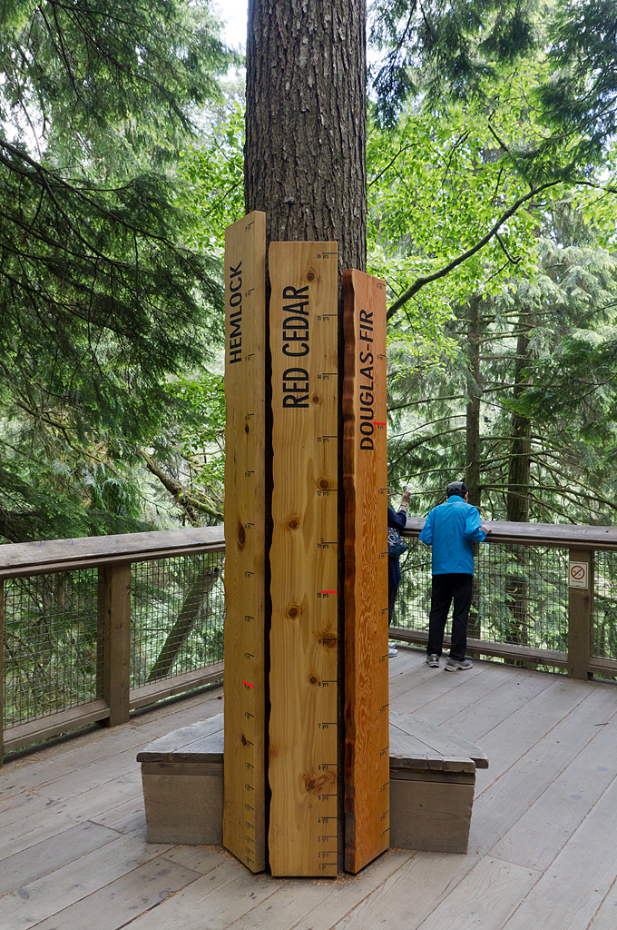 Capilano Suspension Bridge