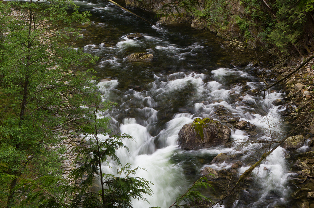 Capilano Suspension Bridge