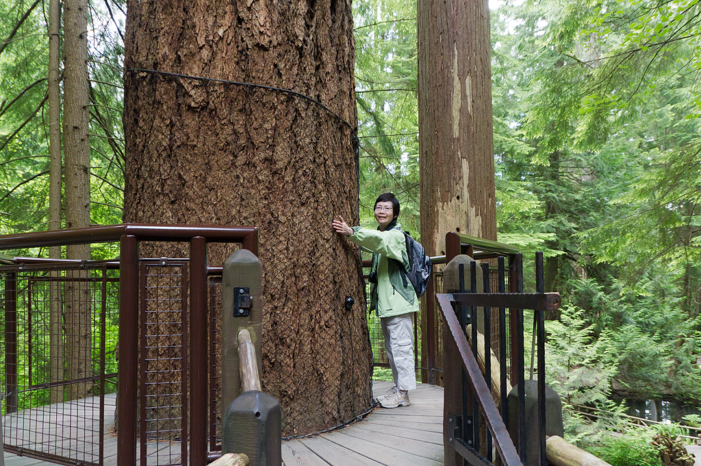 Capilano Suspension Bridge