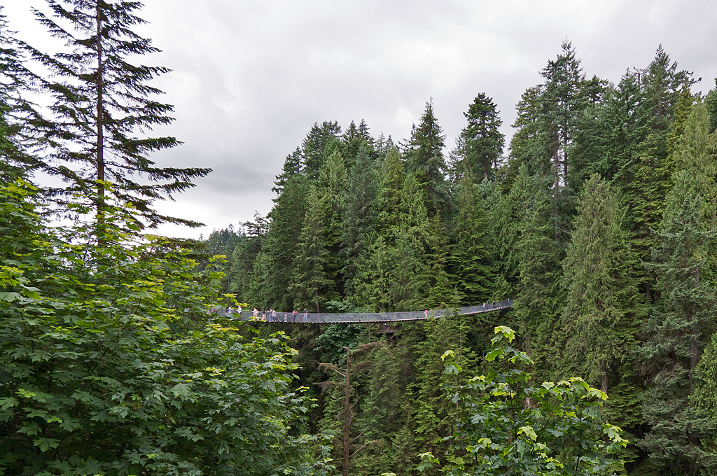 Capilano Suspension Bridge