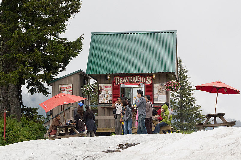 Grouse Mountain