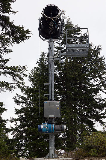 Grouse Mountain