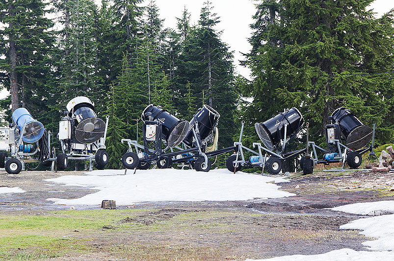 Grouse Mountain