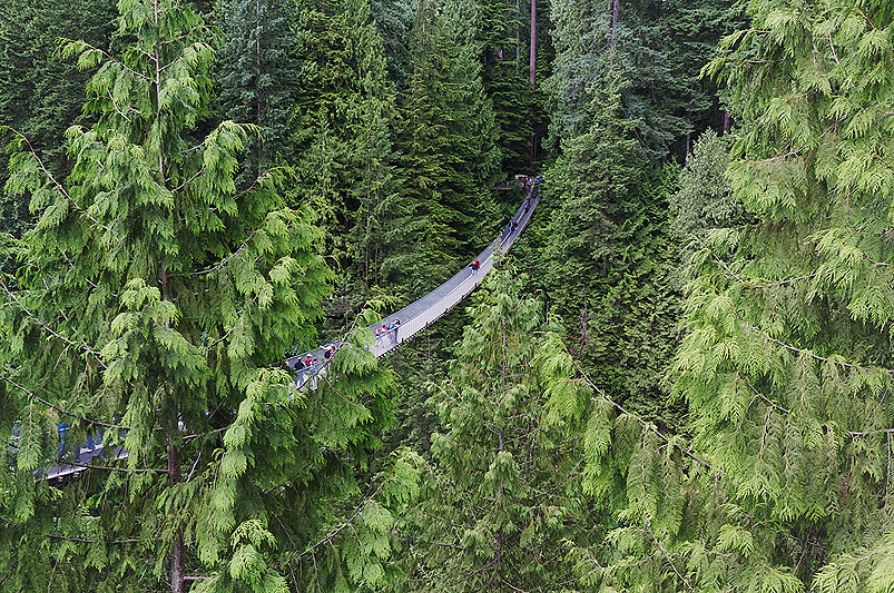 Capilano Suspension Bridge