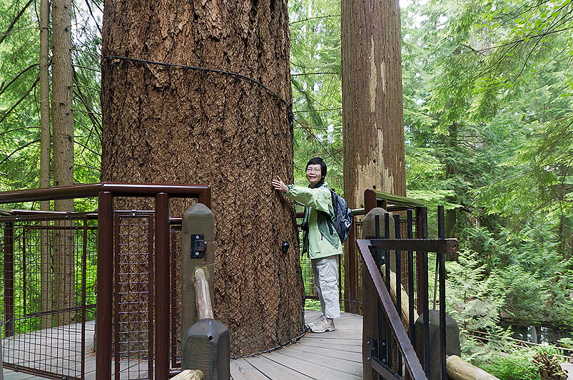 Capilano Suspension Bridge