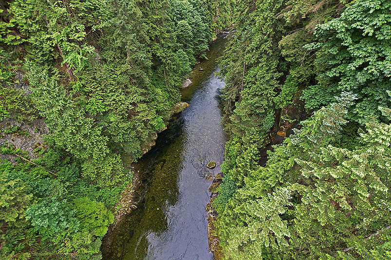 Capilano Suspension Bridge