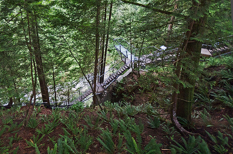 Capilano Suspension Bridge