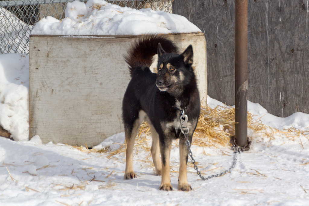 Our trip to Yellowknife to see the aurora borealis