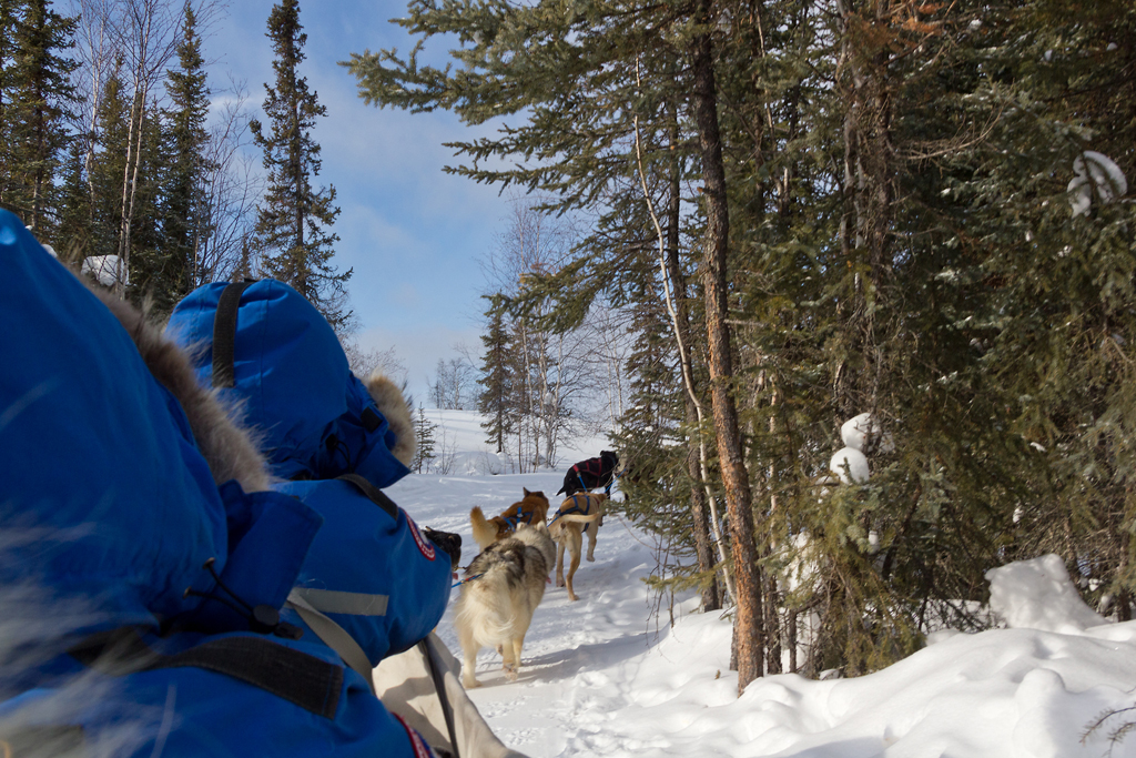 Our trip to Yellowknife to see the aurora borealis