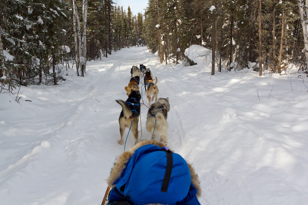 Our trip to Yellowknife to see the aurora borealis