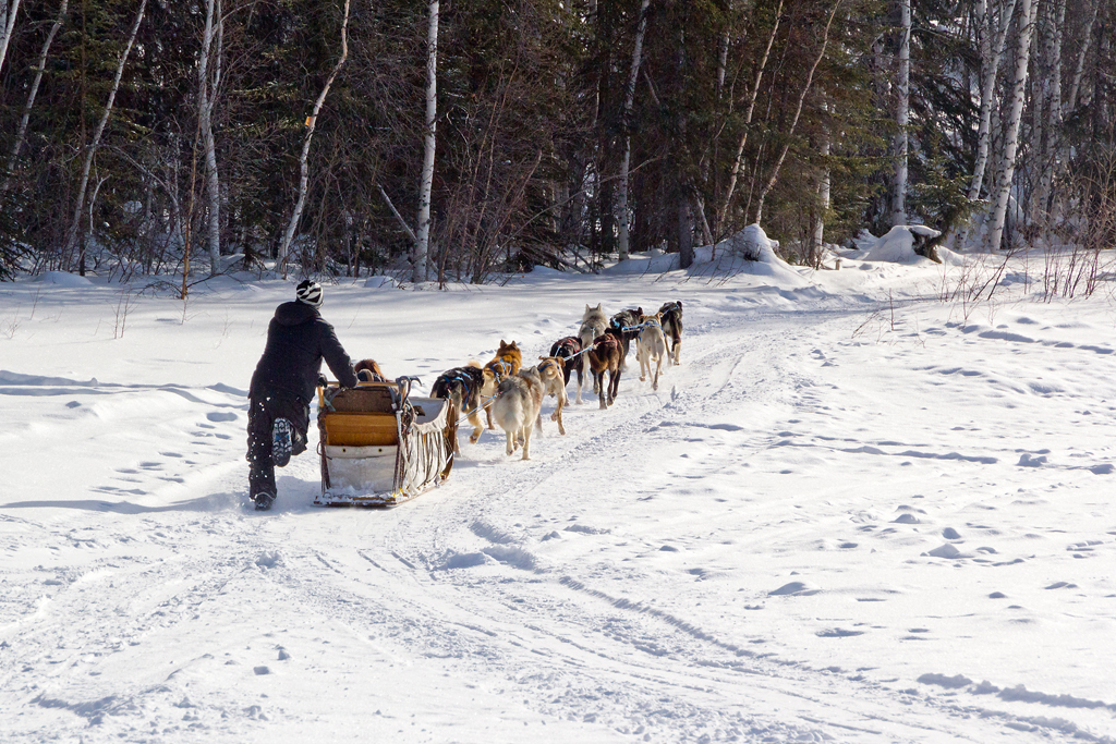 Our trip to Yellowknife to see the aurora borealis