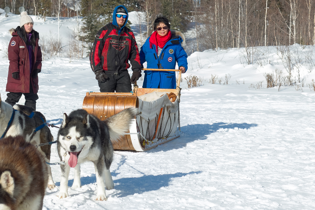 Our trip to Yellowknife to see the aurora borealis