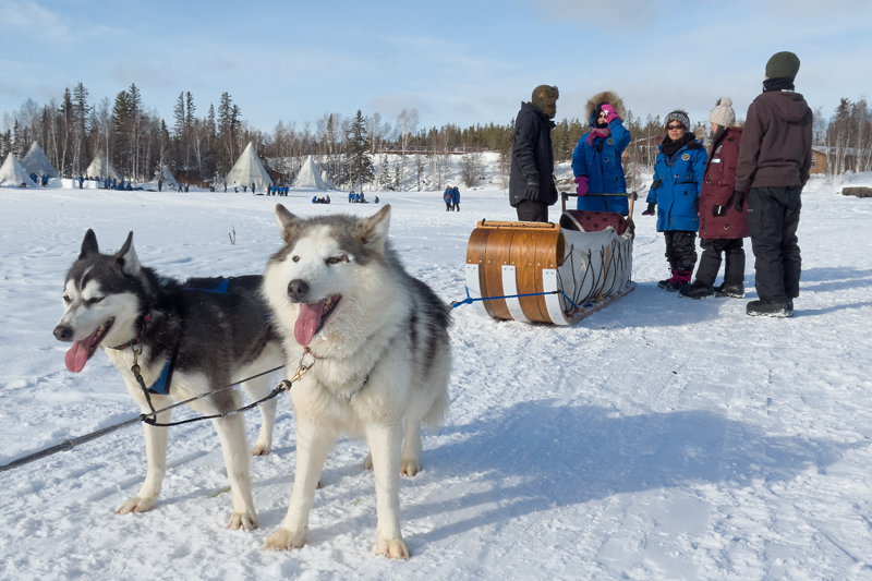 Our trip to Yellowknife to see the aurora borealis