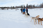 Our trip to Yellowknife to see the aurora borealis