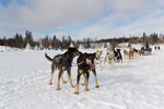 Our trip to Yellowknife to see the aurora borealis