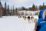 Our trip to Yellowknife to see the aurora borealis