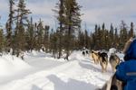 Our trip to Yellowknife to see the aurora borealis