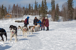 Our trip to Yellowknife to see the aurora borealis