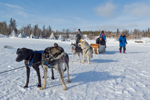 Our trip to Yellowknife to see the aurora borealis