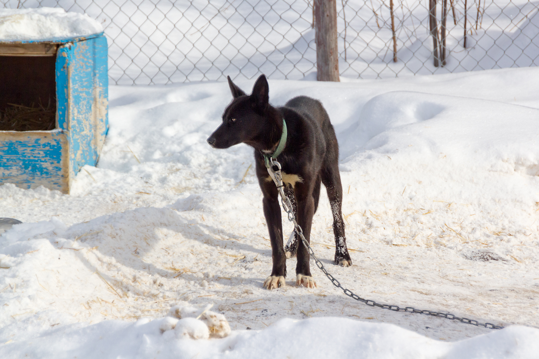 Our trip to Yellowknife to see the aurora borealis