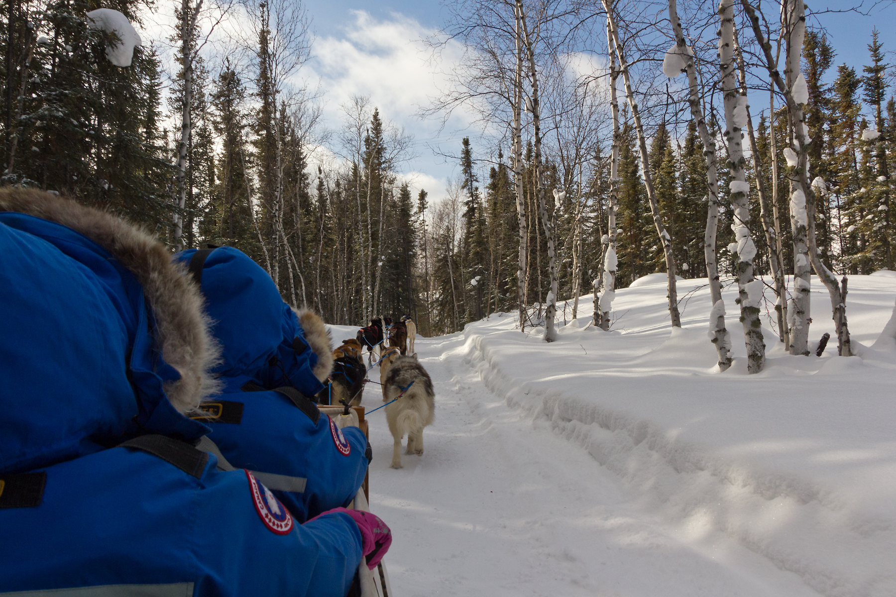 Our trip to Yellowknife to see the aurora borealis