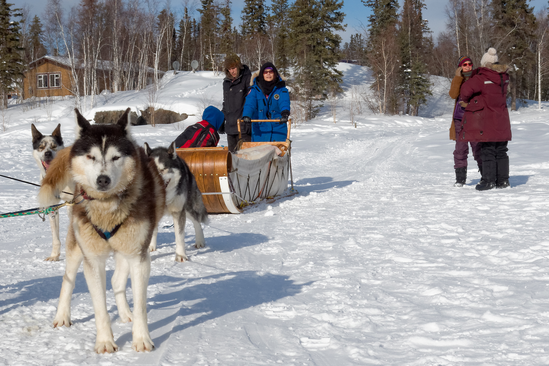 Our trip to Yellowknife to see the aurora borealis