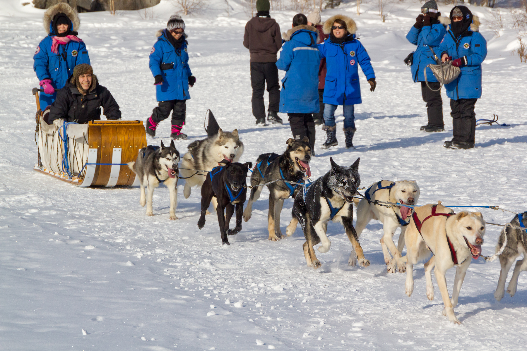 Our trip to Yellowknife to see the aurora borealis