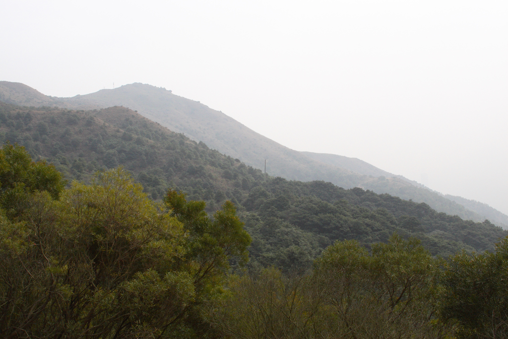 Tai Mo Shan