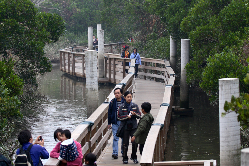 Wetlands