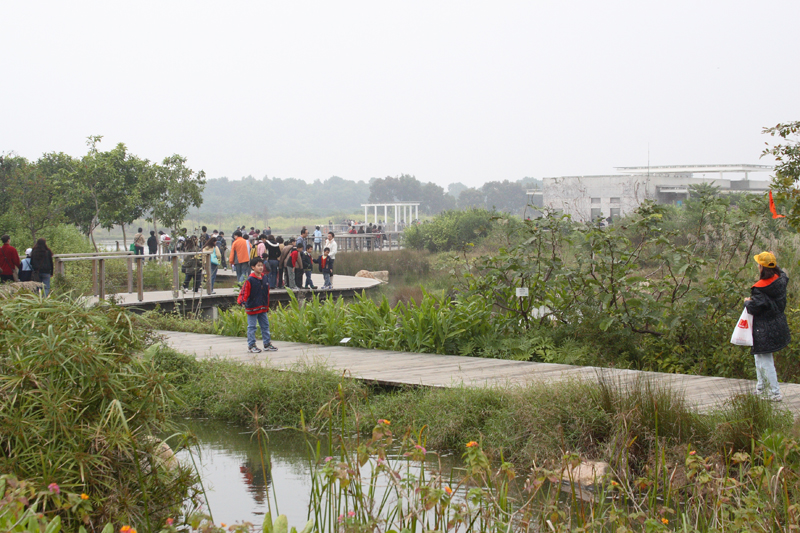 Wetlands