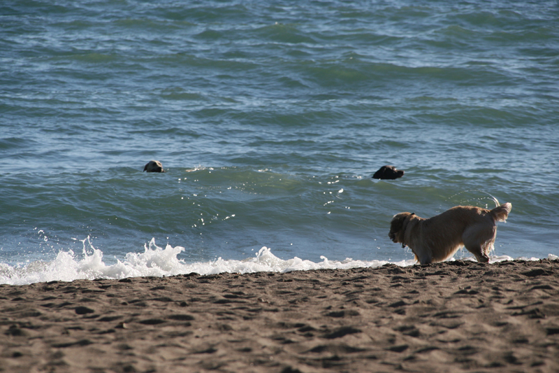 At the Beach