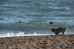 At the Beach