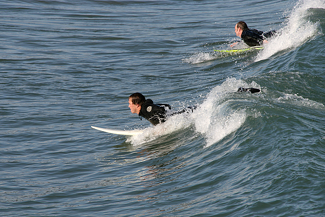 Surfers