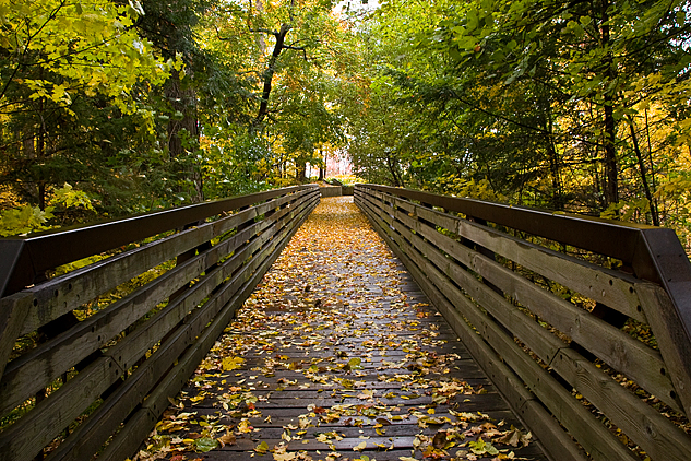 Fall colour