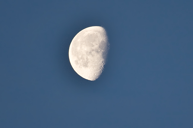 Half moon