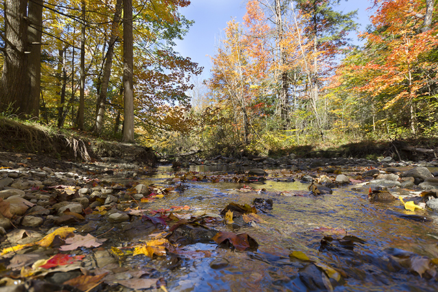 Park in fall