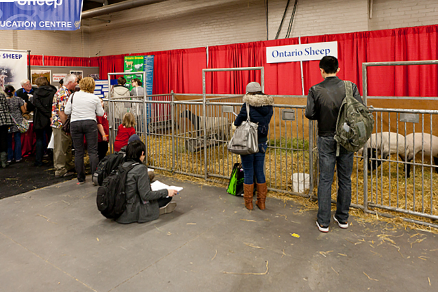 Royal Winter Fair