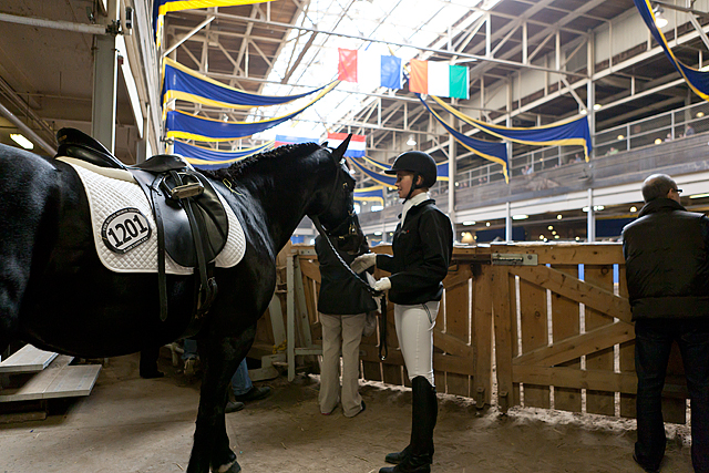 Royal Winter Fair