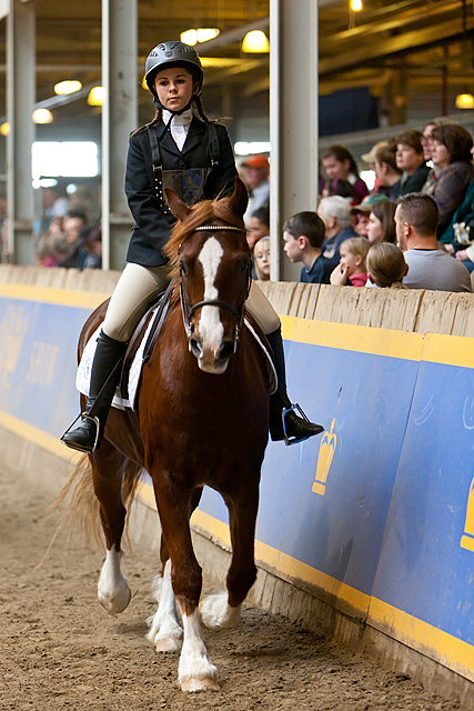 Royal Winter Fair