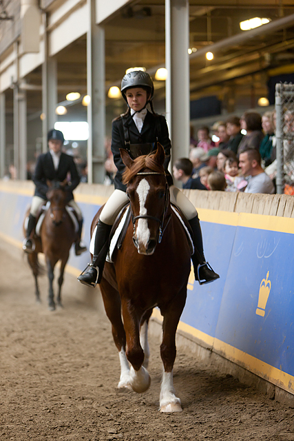 Royal Winter Fair