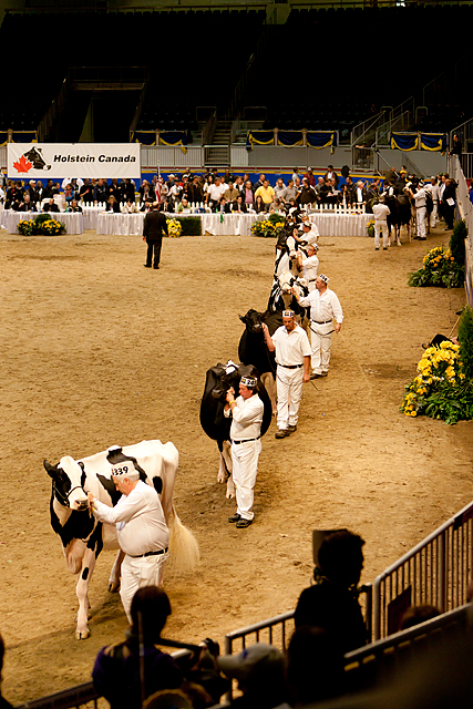 Royal Winter Fair