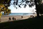 The beach at Beech