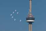 Snowbirds pass CN Tower