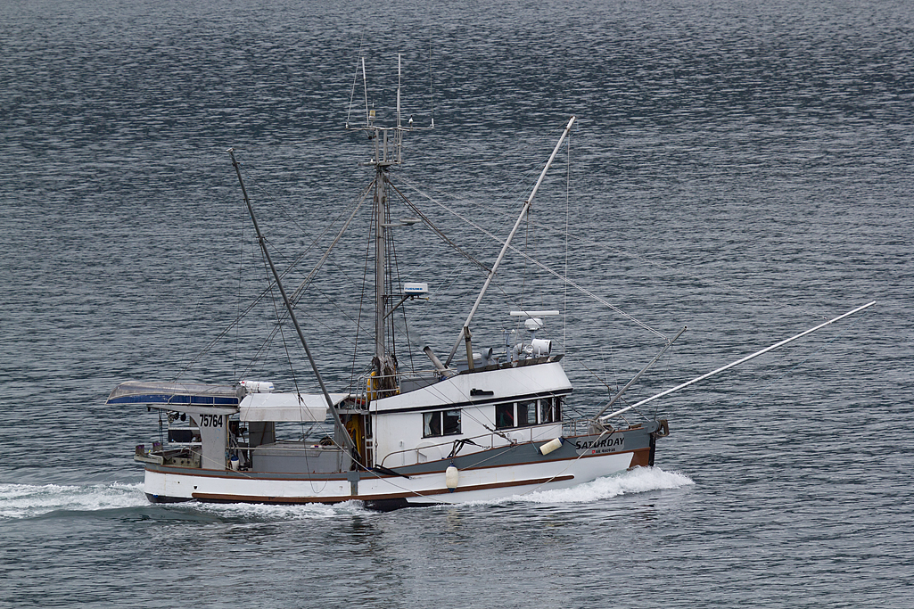 Day 3 -- Icy Strait Point