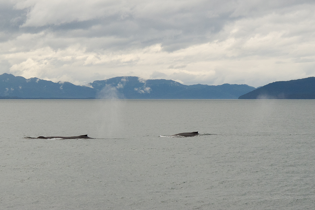 Day 3 -- Icy Strait Point