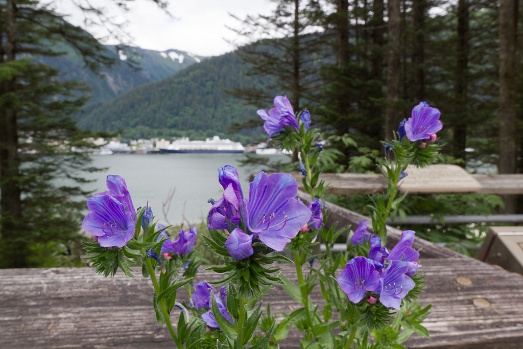 Day 5 -- Juneau