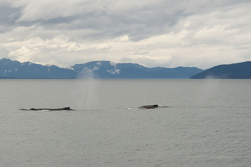 Day 3 -- Icy Strait Point