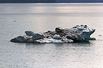 Day 4 -- Hubbard Glacier