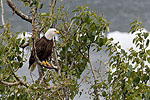 Day 5 -- Juneau